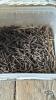 LOT OF STEEPLES AND SCREWS - 3