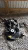 MURRAY 17.5HP 42IN LAWN MOWER - 7