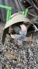 JOHN DEERE 820R REAR TINE TILLER - 8