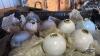 10 LIGHTENING RODS WITH 7 GLOBES - 6
