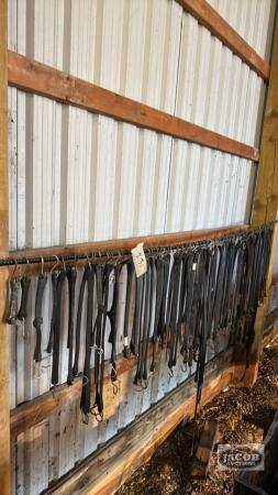 LARGE LOT OF TARP STRAPS