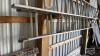 20FT ALUMINUM EXTENSION LADDER - 4