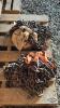 2 SETS OF TIRE CHAINS - 3