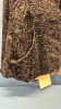 2 Fur Jackets -See Notes - 10