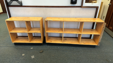 2 Plywood Shelves