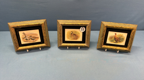 3 Nicely Framed Game Bird Prints -6.5in x 5.5in