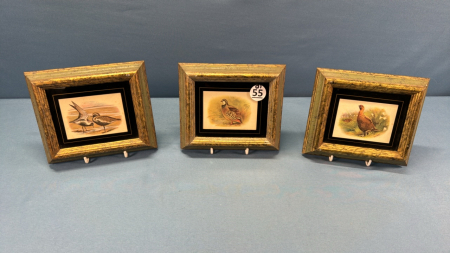 3 Nicely Framed Game Bird Prints -6.5in x 5.5in