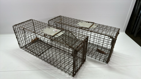 2 Squirrel Cages