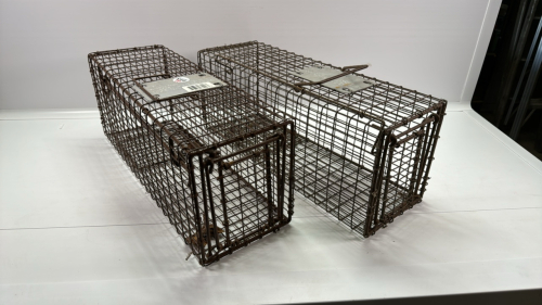 2 Squirrel Cages