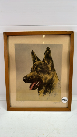 Print of Rin Tin Tin