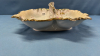 Double Serving Dish KPM Porcelain with Handle - 3