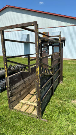 Cattle Squeeze with Head Gate