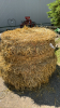 11 -4ft x 5ft Round Bales of Barley Straw - 3