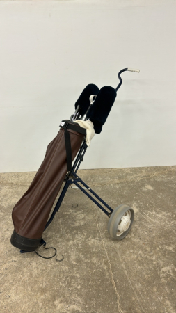 Set of 12 Golf Clubs with Cart