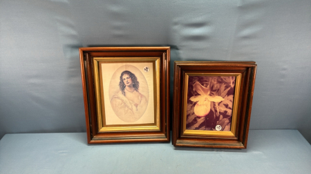 2 Deep Framed Prints -1 Floral & 1 Victorian Lady