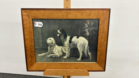 Spaniel Dog Print in Bird's Eye Maple Frame