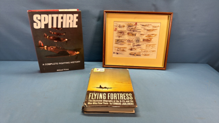 Vintage Airplane Picture & 2 Plane Books -See Note