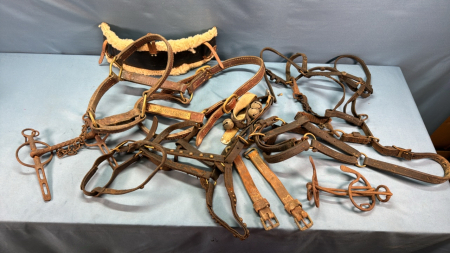 Assorted Lot of Equestrian Halters and Bits