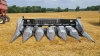 Agco 630 Corn Head - 7