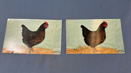 2 Poultry Postcards - Roe Farms Atwood