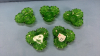 5 Green Glass Shamrock Shaped Snack Dishes - 2