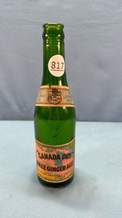 Canada Dry Pale Gingerale Bottle - 10oz