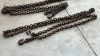 2-15ft Logging chains with grab hooks - 3