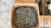 Large lot of nails and spikes - 7