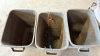 Group of poly garbage cans - 4