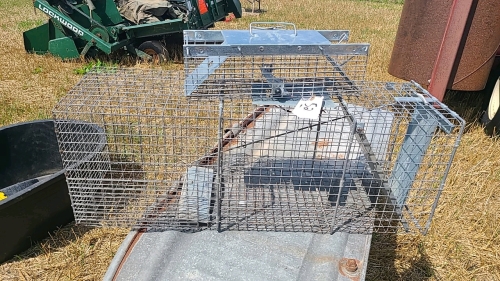 Large and Small Live Traps