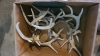 Lot of antler sheds - 4