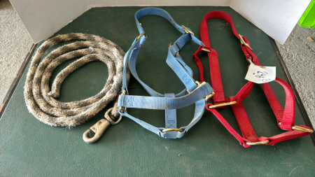 2-Weaver Nylon Halters and Lead Rope