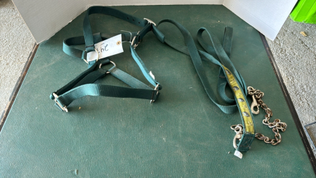 Nylon Halter and Lead