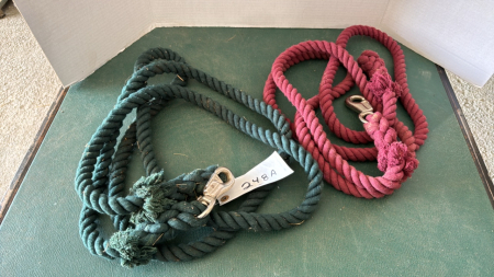 Pair of Lead Ropes