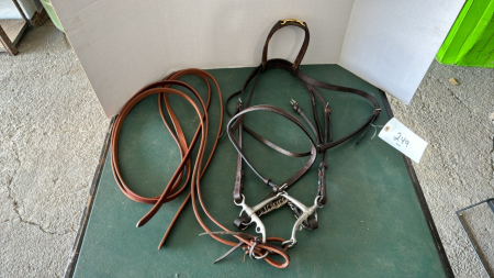 English Bridle
