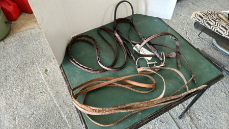 English Bridle