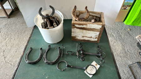 Lot of horseshoes and bits