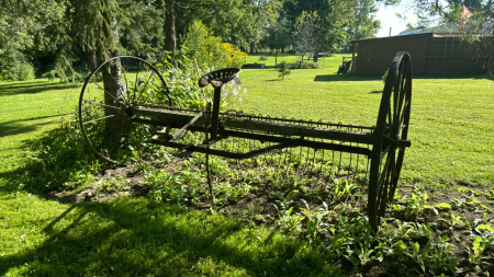 Antique dump rake