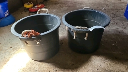 2 Plastic Pails