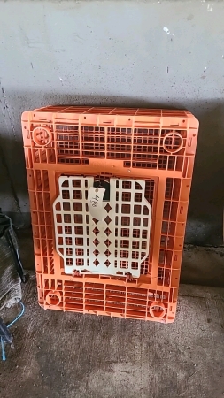 Plastic Chicken crate