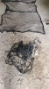 2 Black Cargo nets - 3