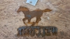 Pair of welcome horse, steel silhouettes - 4