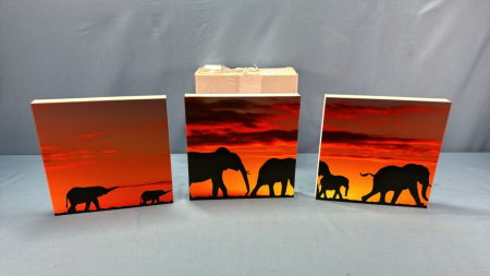 Set of (3) Elephant Wall Hangings