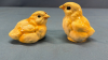 Pair of Goebel Chicks - Tallest is 2.5"H - 2