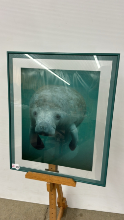 Manatee Print 19"W x 23"H