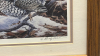 Wild Turkey Numbered Print by Randy Wilson-Notes - 2