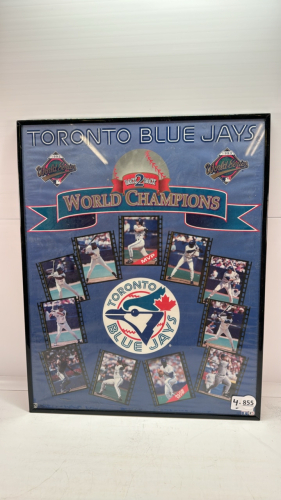 Toronto Blue Jays Framed Poster 16"W x 20"H