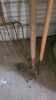 7 Garden Tools - 5