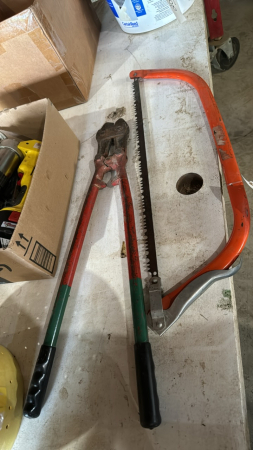 Bolt Cutters and Limb Saw