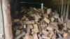 Pile of Mixed Firewood